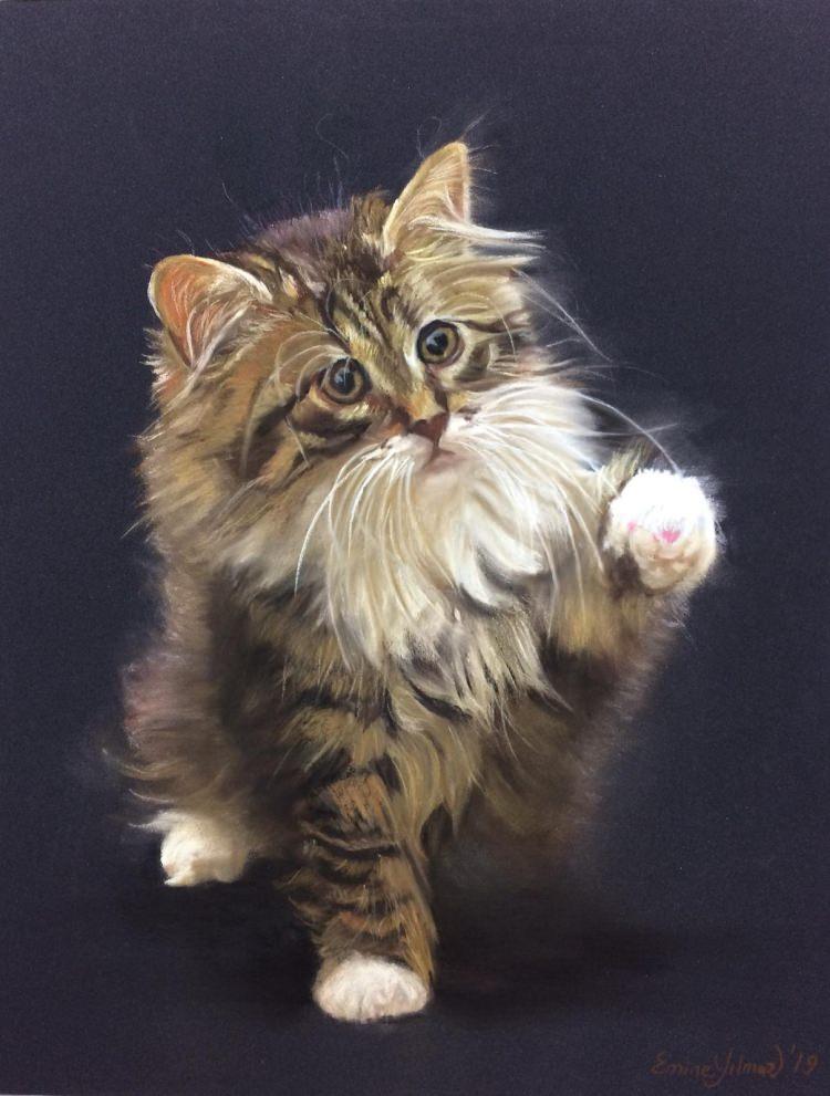 <p>40-Emine Yilmaz-Kedi</p>