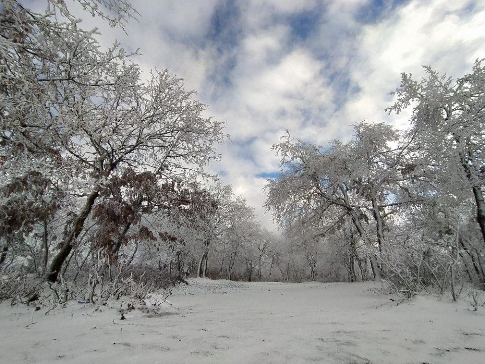 <p>Eskişehir</p>
