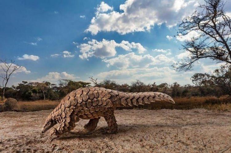 <p><strong>BRENT STIRTON</strong></p>

<p> </p>
