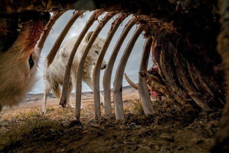 <p><strong>RONAN DONOVAN</strong></p>

<p>&nbsp;</p>
