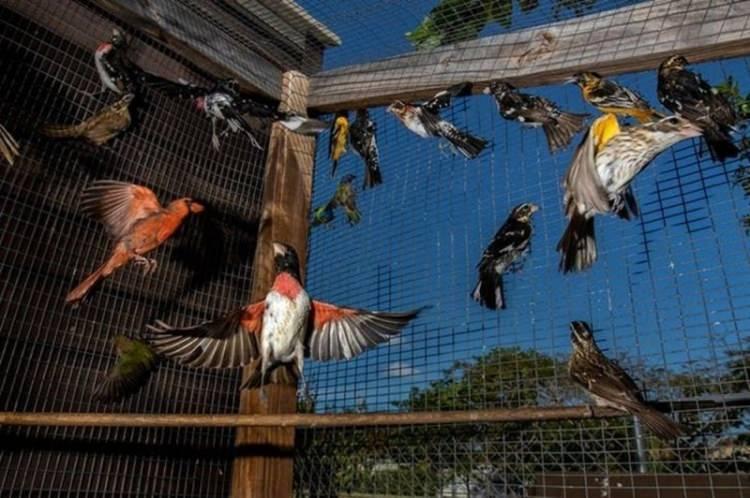 <p><strong>KARINE AIGNER</strong></p>

<p>&nbsp;</p>
