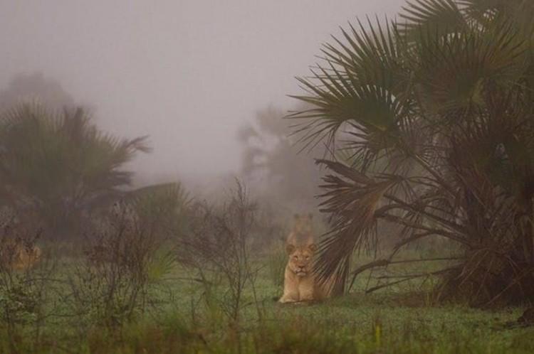 <p><strong>AMI VITALE</strong></p>

<p>&nbsp;</p>
