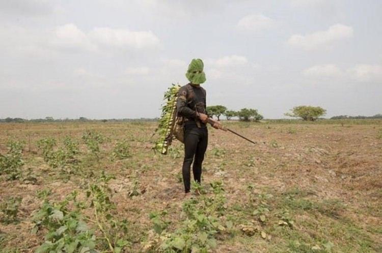 <p><strong>GENA STEFFENS</strong></p>

<p>&nbsp;</p>
