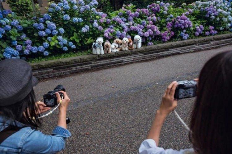 <p><strong>DAVID GUTTENFELDER</strong></p>

<p>&nbsp;</p>
