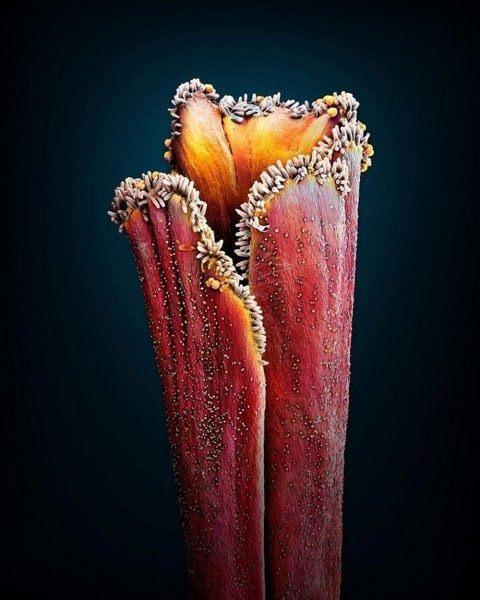 <p><strong>MARTIN OEGGERLI</strong></p>

<p>&nbsp;</p>
