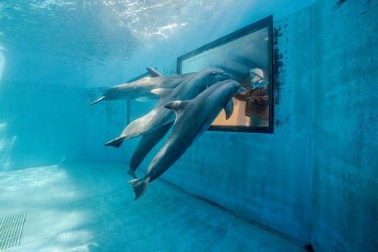 <p><strong>SPENCER LOWELL</strong></p>

<p>&nbsp;</p>
