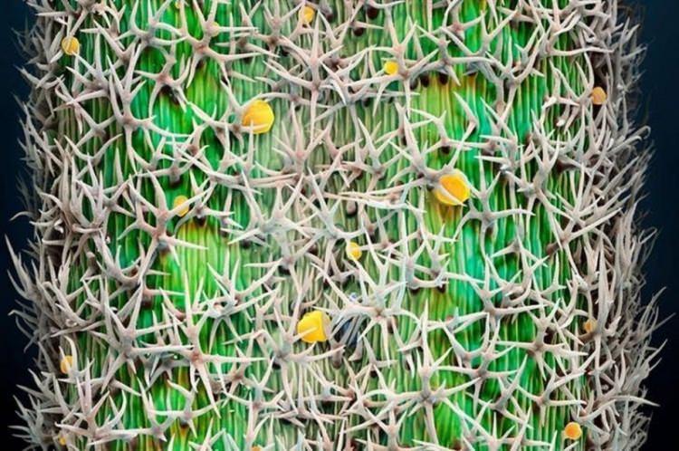 <p><strong>MARTIN OEGGERLI</strong></p>

<p>&nbsp;</p>
