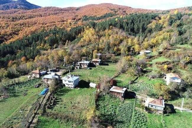 <p><strong>Kastamonu</strong></p>
<p>İstanbul'daki nüfus: 553 bin 898 kişi</p>