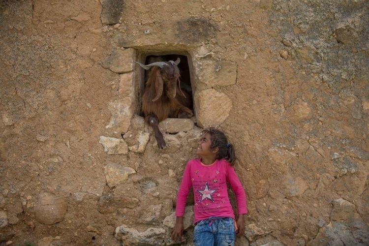 <p>Harran’da yaşam</p>
<p>UNESCO Dünya Mirası Geçici Listesi`nde bulunan Şanlıurfa`nın tarihi Harran ilçesinde yöre halkı kerpiç evlerde yaşamaya devam ediyor.</p>
<p> Halil Fidan</p>
<p> </p>