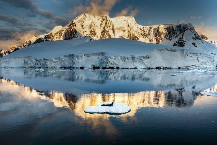 <p>Bilim ve barış kıtası<br />
<br />
Fotoğraf: Özge Elif Kızıl</p>