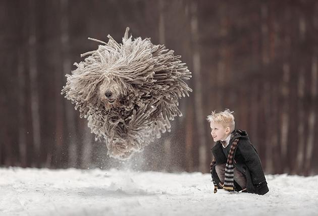 <p>Komondor</p>
