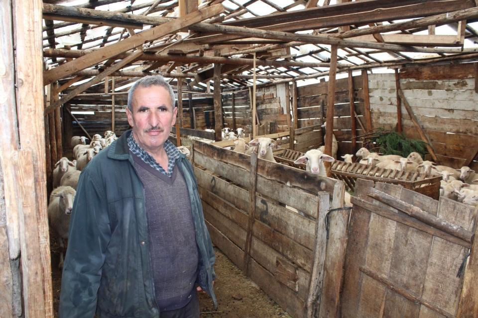 <p>Gördükleri karşısında ne yapacağını şaşıran Recep Sakarya, köylünün de yardımı ile etrafa kaçan 130’a yakın koyunu başka bir ahıra yerleştirdi.</p>
<p> </p>