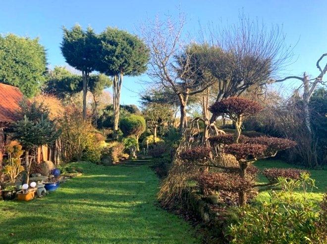 <p>Pure Land Meditasyon Merkezi ve Japon Bahçesi, Uzak Doğu ile bağlantı kurmak için yılda 10 bin ziyaretçi çekiyor.</p>
<p> </p>