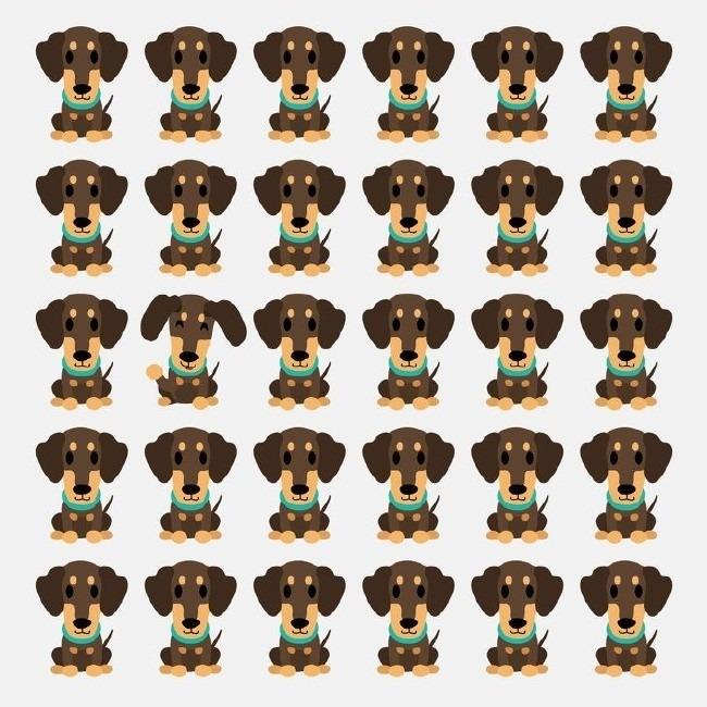 <p>Hangi köpek ötekilerden farklı görünüyor.</p>
