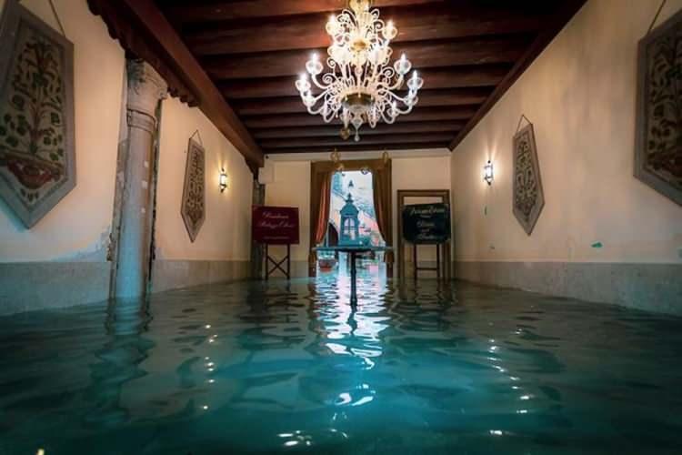<p> İtalyan fotoğrafçı Natalia Elena Massi'nin kadrajından sular altında kalan Venedik'in öteki yüzünü gösteren fotoğrafları yaşam portalı Boredpanda derledi.</p>
