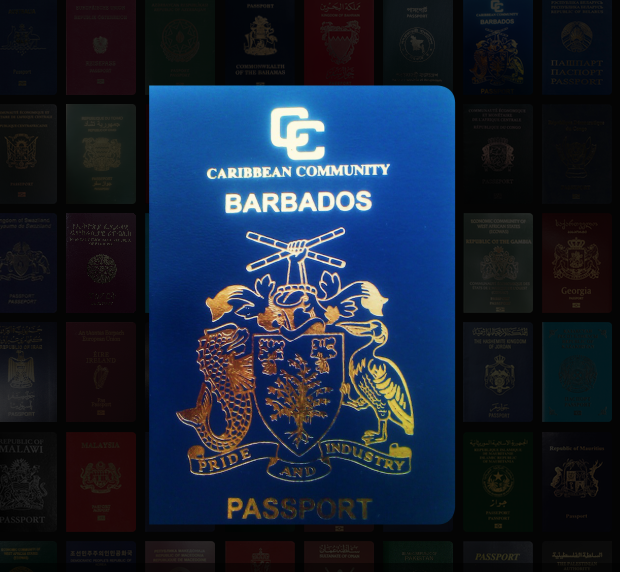 <p>24- Barbados</p>

<p>160 vizesiz ülke.</p>
