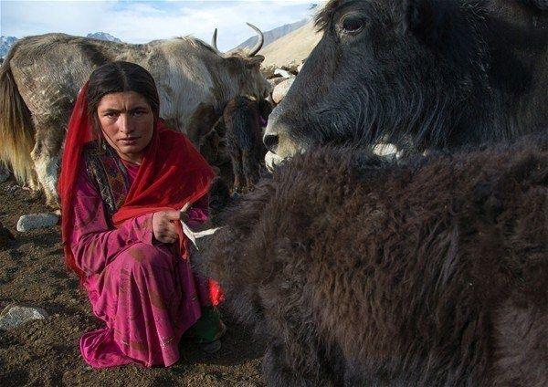 <p>Bu ıssız topraklarında yaşayanlar ne Taliban ne de Amerika - Afganistan savaşından haberdar. </p>