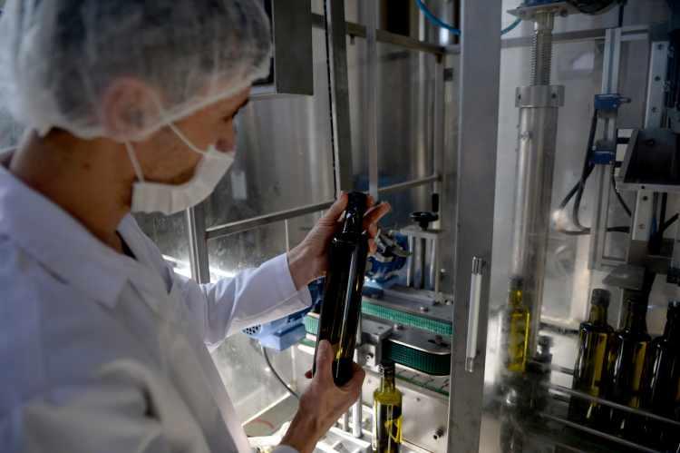 <p>"Kentte yaklaşık 263 bin dekarda yağlık, 17 bin dekarda sofralık zeytin üretimi yapılıyor. Biz de zeytinyağımızı dünyaya pazarlamak için 2011 yılında Valilik öncülüğünde GAP İdaresi Başkanlığı, İKA, belediye ve siyasilerimizin desteğiyle Kilis birliğimizi kurduk. Eskiden Kilis zeytinyağı başka markaların adıyla ihracat ediliyordu. Biz de bunu önlemek için 'neden kendi markamızla ihracat yapmayalım' dedik ve yaptığımız fuar çalışmalarıyla ilk kez bugün kendi markamızla Kanada'ya ihracat yapmaya başladık. Biz dünyanın en kaliteli zeytinyağına sahibiz ama bunun farkında değiliz. Kilis kesinlikle ilaç kullanılmadan ürünlerini yetiştiren bir bölge ve çiftçilerimiz de çok bilinçli."</p>
