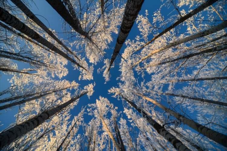 <p>Munzur Dağları arasında kurulu olan 1500 rakımlı Ovacık'ta, kış mevsimi, zorluklarının yanı sıra güzellikleriyle de yaşanıyor.</p>
