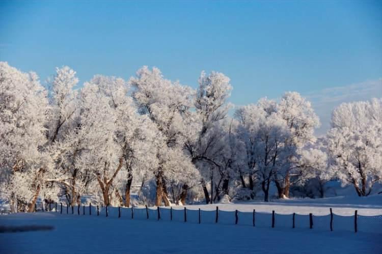 <p>Ovacık ilçesinde kış turizmi açısından cazibe merkezi haline gelen Ovacık Kayak Merkezi'nde ziyaretçiler kesintisiz kayak ve snowboard yapıp kızakla kaymanın keyfini çıkarıyor. </p>