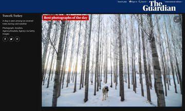 <p>Ovacık'ın bu muhteşem manzarası, dünya basınının manşetlerinde de yer aldı. Aralarında Guardian, The Telegraph gibi uluslararası basının önde önde gelen medya kuruluşları, bu doğal güzelliğe sayfalarında yer ayırdı.</p>