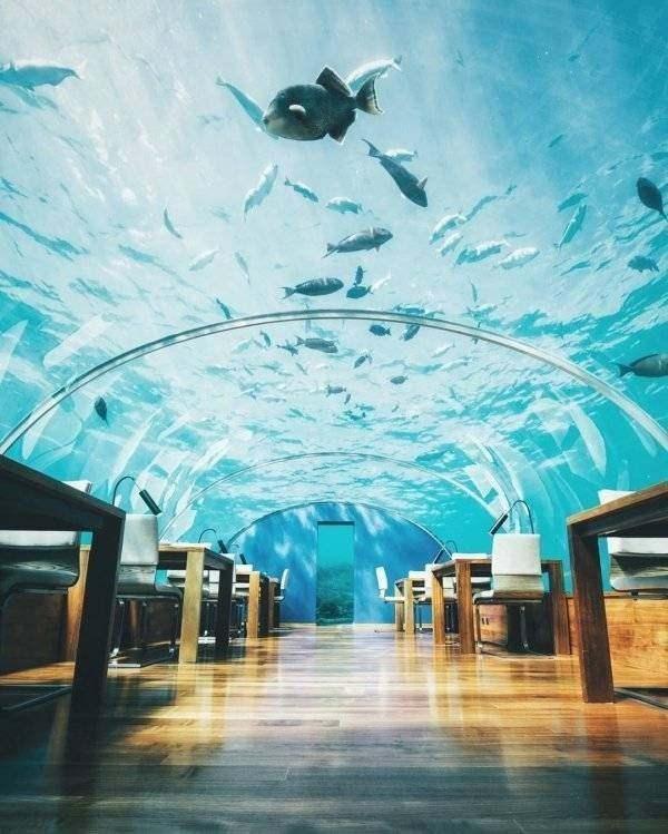 <p><strong>Ithaa Undersea Restaurant (MALDİVLER)</strong></p>