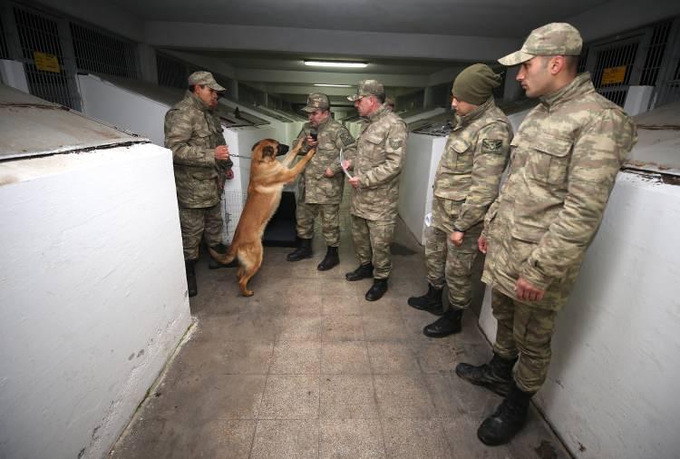 <p>Köpekler, henüz yavruyken başlayan eğitimlerinin ardından uçaklarla görev birliklerine sevk ediliyor. Mehmetçiğin can dostları, görev yaptıkları yurt içinde ve sınır ötesindeki operasyonlarda etkin rol oynuyor.</p>
<p> </p>
