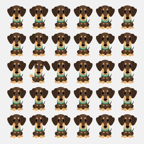 <p>Hangi köpek ötekilerden farklı görünüyor.</p>
