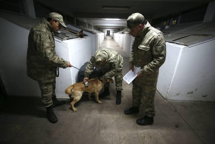 <p>Mehmetçiğin terörle mücadelesinde önemli görevler üstlenen dedektör köpekler, henüz yavruyken başladıkları eğitimlerinde zorlu aşamaları geçerek göreve hazır hale geliyor. </p>
