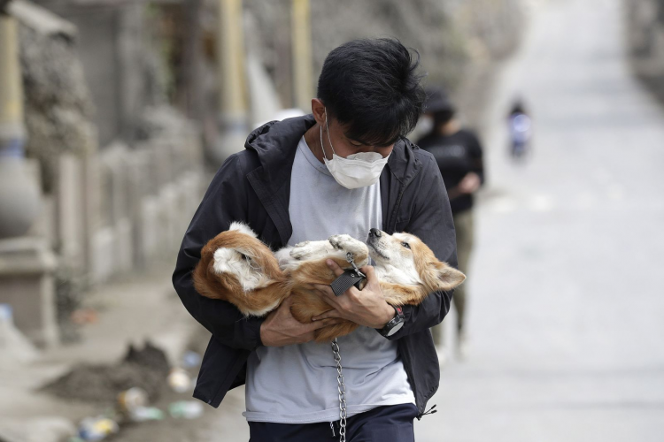 <p>Dünyanın en küçük yanardağı Taal, Filipinler'deki 24 aktif volkan arasında yer alıyor.</p>
