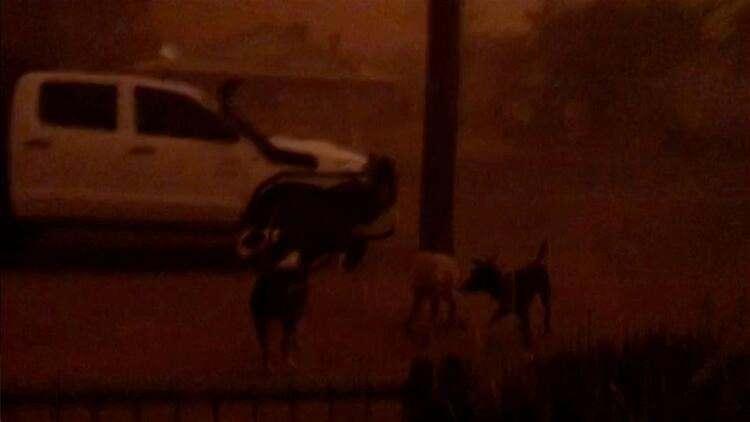 <p>YAĞMURUN ALEVLERİ SÖNDÜRMESİ DÜŞÜK OLASILIK </p>

<p>Yağışlar bazı bölgelerde ani su baskınlarına neden olabilir, ancak hava durumu bürosu yağmurun kalan alevleri söndürme olasılığının düşük olduğunu söylüyor.</p>
