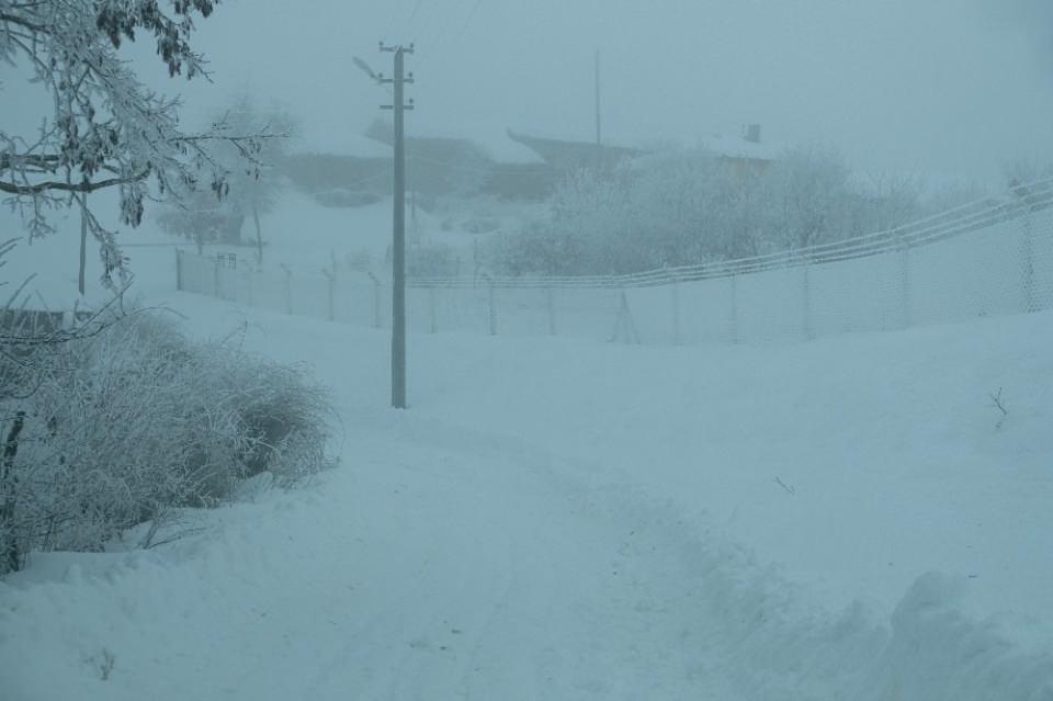 <p><strong>Bu mahallede kar kalınlığı 1 metre&nbsp;</strong></p>

<p>Eskişehir&rsquo;de bulunan Yarımca mahallesinde her kış yoğun kar ve sis oluşurken, bu seneki kar kalınlığı 1 metreye ulaştı.</p>

<p>&nbsp;</p>
