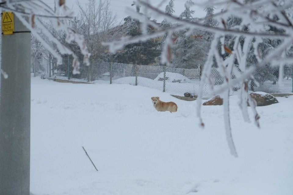 <p>Buranın yani bizim mahallenin rakımı bin 230 civarında, o y&uuml;zden kışın en &ccedil;etin ge&ccedil;en yerlerinden bir tanesindeyiz.&nbsp;</p>

