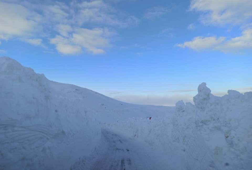 <p><strong>Ordu'da kar yağışı nedeniyle kapanan 43 mahalle yolu ulaşıma a&ccedil;ıldı</strong></p>

<p>B&uuml;y&uuml;kşehir Belediyesinden yapılan yazılı a&ccedil;ıklamada, kar yağışı nedeniyle t&uuml;m ekiplerin seferber edildiği belirtildi.</p>

<p>&nbsp;</p>

<p><br />
<br />
&nbsp;</p>

<p>&nbsp;</p>
