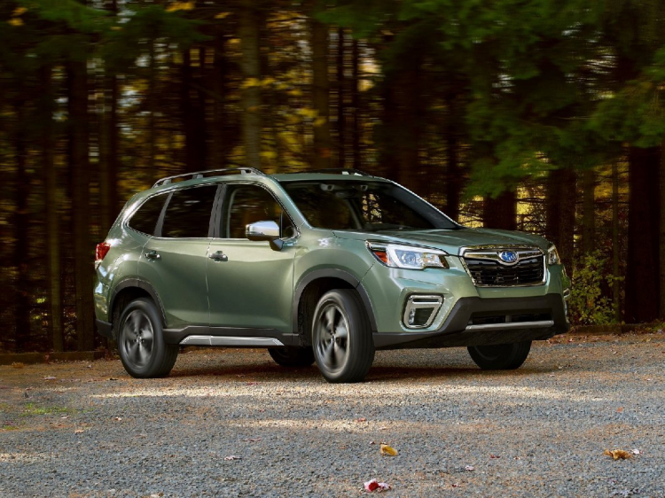 <p>Subaru Forester</p>

<p> </p>
