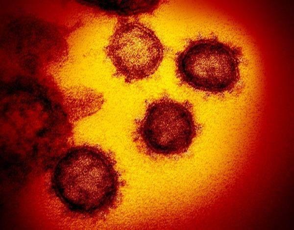 Koronavirüs'ün (Covid-19) fotoğrafları ilk kez yayınlandı