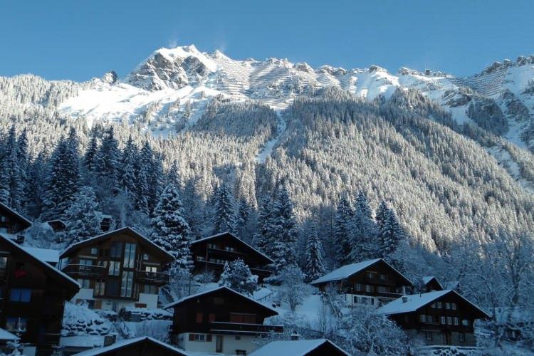 <p>Wengen’de helal dostu bir otelde kalarak Jungfrau Kayak bölgesinde, 19 teleferikle ulaşabileceğiniz 33 bireysel pist ile 112 km'lik yokuş aşağı kayma deneyimini yaşayabilirsiniz.</p>