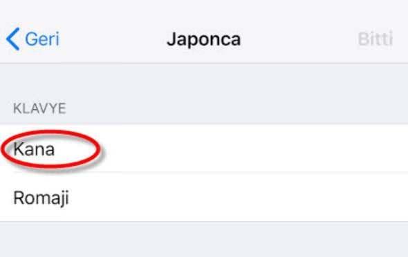 <p>Daha sonra da Kana'yı...</p>
