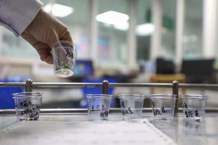 <p>Sağlık Bakanlığı Halkla İlişkiler Sorumlusu Kiyanuş Cihanpur, basına yaptığı açıklamada, Kum'da 2, Arak kentinde de 1 İranlı olmak üzere tedavi altına alınan üç kişide daha virüs tespit edildiğini duyurdu.</p>
<p> </p>