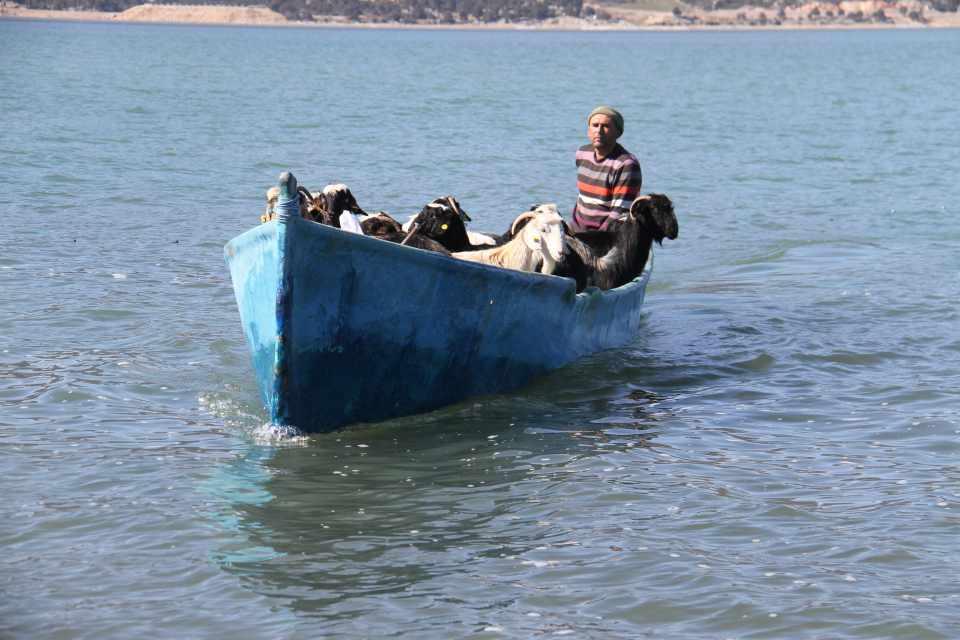 <p>Teknelerle hayvan nakli çalışmasına Almanya'dan gelerek katılan Ümmü Ünlü ise izin döneminde olduğunu belirterek, "Yurt dışında yaşıyorum. </p>

<p> </p>
