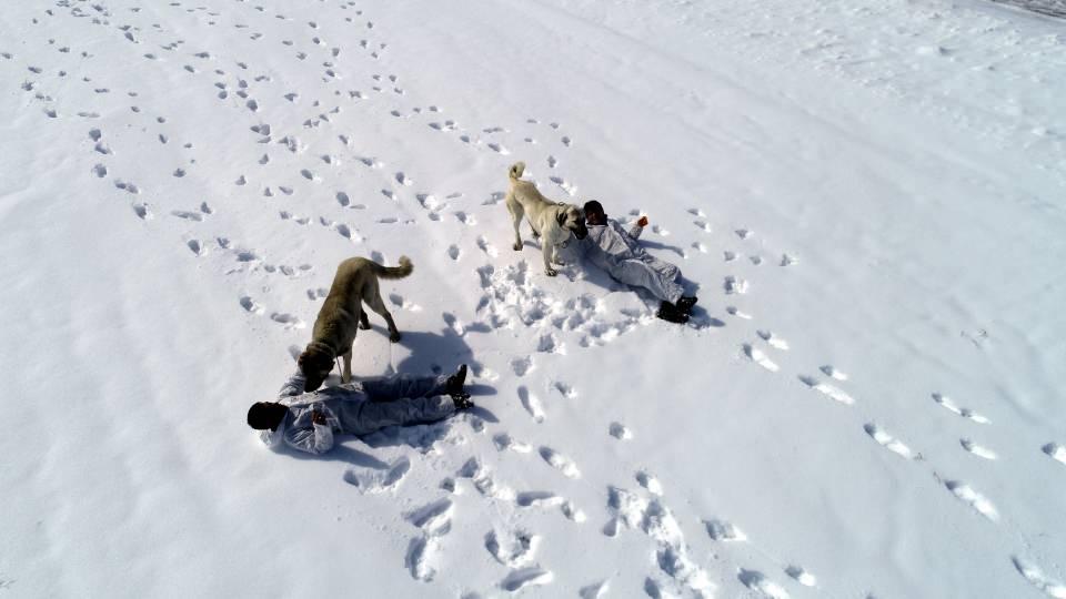 <p> Burada bulunan köpeklerimizin ırk ve gen özelikleri, soy, sağlık bilgileri ile çiftleşme takvimine kadar her şey kayıt altına alınıyor. </p>
