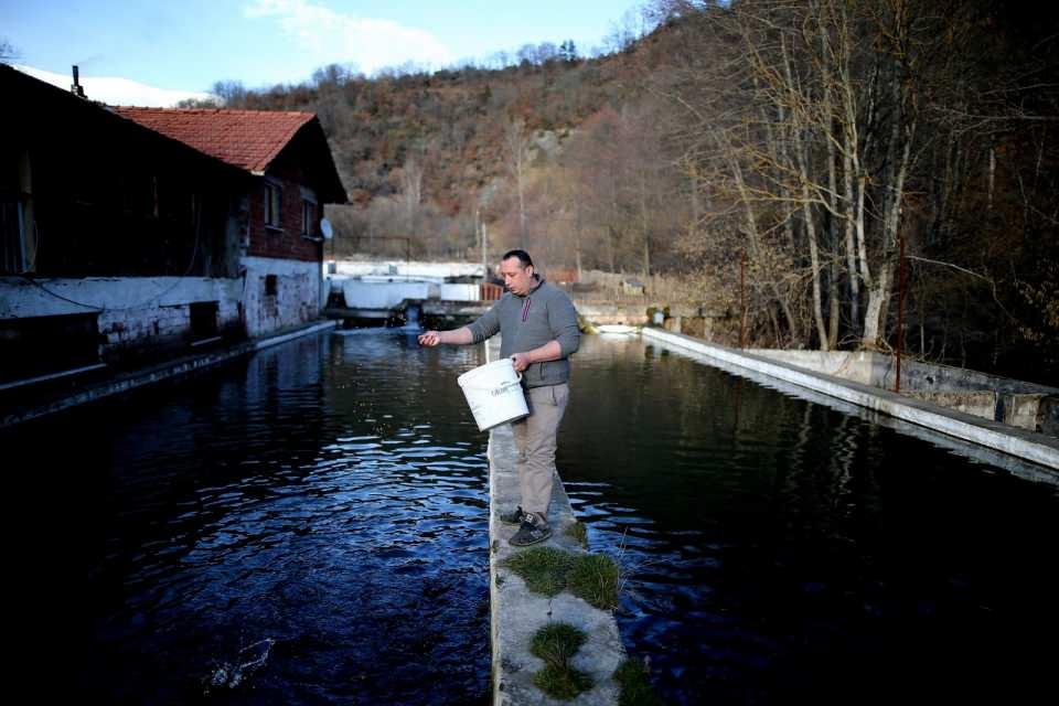 <p>Uludağ&rsquo;ın eteklerindeki Keles&rsquo;e bağlı Dağdibi Mahallesi&rsquo;nde bulunan alabalık &ccedil;iftliği ve bungalov evler yerli ve yabancı turistlerin ilgi odağı oluyor.&nbsp;</p>
