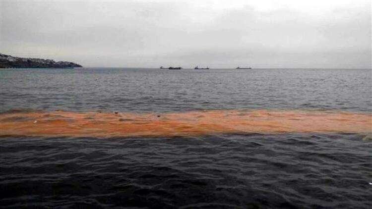 <p>Marmara Denizi'nin Tekirdağ sahilleri turuncu aldı. Uzmanlar bu durumun mevsimsel olduğunu belirterek, vatandaşların panik yapmamasını istedi...</p>
