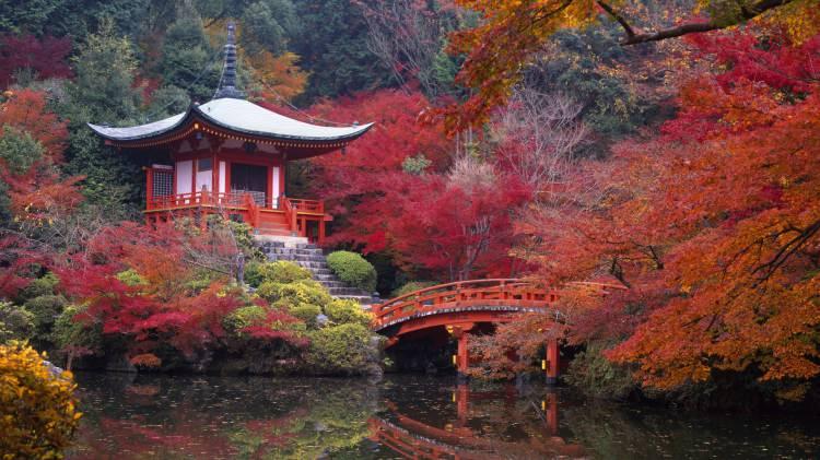 <p>24- KYOTO / JAPONYA</p>

<p>Kyoto tapınakları modern yaşamla antik geçmiş arasında nadir bir bağlantı sağlar. Örneğin, Shimogamo Mabedi'nin geçmişi 6. yüzyıla uzanmakta ve zamanı durdurmuş gibi görünmektedir. Sakinliği ve ruhsal gücü hala aşikar. Shinto pirinç tanrısına ibadet edilen Fushimi Inari Mabedi görebilir, ardından Sanjüsangen-do'nun gerçeğe uygun boyuttaki Bin Silahlı Adam heykellerini ziyaret edebilirsiniz. Geleneksel geyşa gösterilerinin keyfini çıkarabilir, ardından Kamo Nehri'ne bakan bir restoranda rahat bir yemek yiyebilirsiniz.</p>
