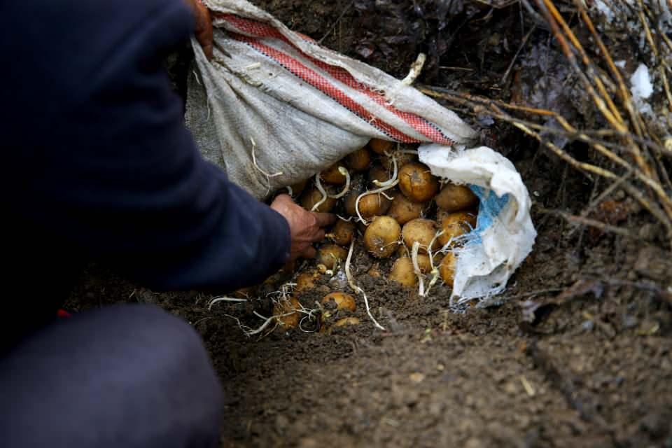 <p>Atadan kalma yöntemi devam ettiren 59 yaşındaki Hüseyin Vurgun, toprak altına gömülen özellikle patates, havuç ve turbun toprak altında hem lezzetinin arttığını hem de bozulmaması için muhafaza edildiğini dile getirdi.</p>

<p> </p>
