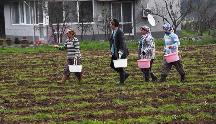 <p>Sevcan Yaylalı, hayvancılık yaptığını, kuşkonmaz üretiminin başlamasıyla tarlada da çalışmaya başladığını kaydetti. </p>

<p> </p>
