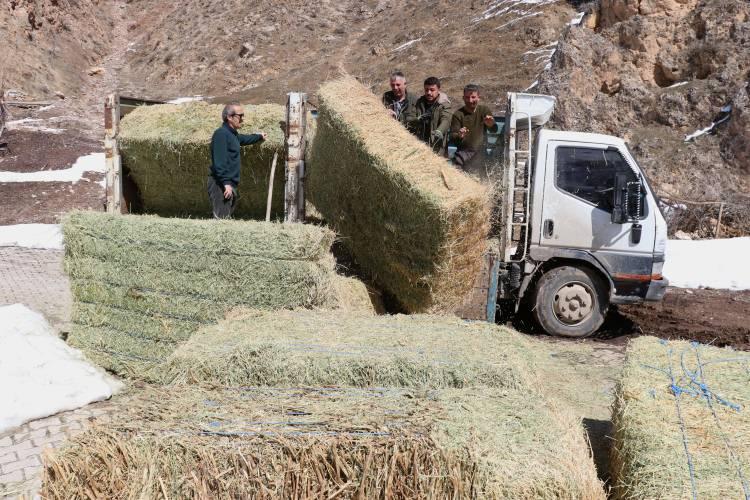 <p>Mahalleye döndüğünde ağıldaki 389 küçükbaş hayvanının telef olduğunu gören Şipal, hayatının en kötü anlarından birini yaşadı. Şipal'e, Sözveren ve çevredeki mahallelerin sakinleri, imece usulüyle topladıkları 200 küçükbaş hayvanı hediye etti. İl Tarım ve Orman Müdürlüğü de Doğu Anadolu Projesi kapsamında 600 metrekarelik ağıl yaptırdı.</p>