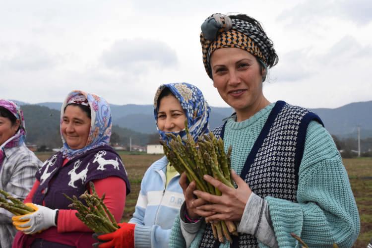 <p>Yaptığı uygulamalarla "İyi Tarım Uygulamaları" sertifikası aldı </p>

<p>Başarılarla geçen hayat hikayesini AA muhabiriyle paylaşan Aksoy, memleketine dönüp kadın emeğini aktif üretime dahil etmenin hayalini kurduğunu söyledi. </p>

<p>Yaklaşık 5 yıl önce Yeşilçam'da kuşkonmaz üretimi yaparak hayalini gerçekleştirdiği için mutlu olduğunu belirten Aksoy, ilk etapta 2,5 dönümde deneme ekimi yaptığını anlattı.</p>
