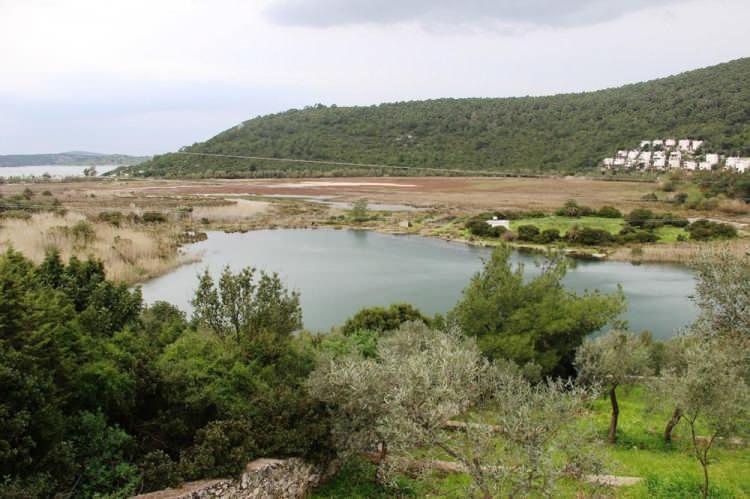 <p>Barut, Türkiye'de bulunan tek doğal hurma ormanının bu bölgede bulunduğunu, 500 yıllık ağaçların halinin içler acısı olduğunu da sözlerine ekledi.</p>

<p> </p>
