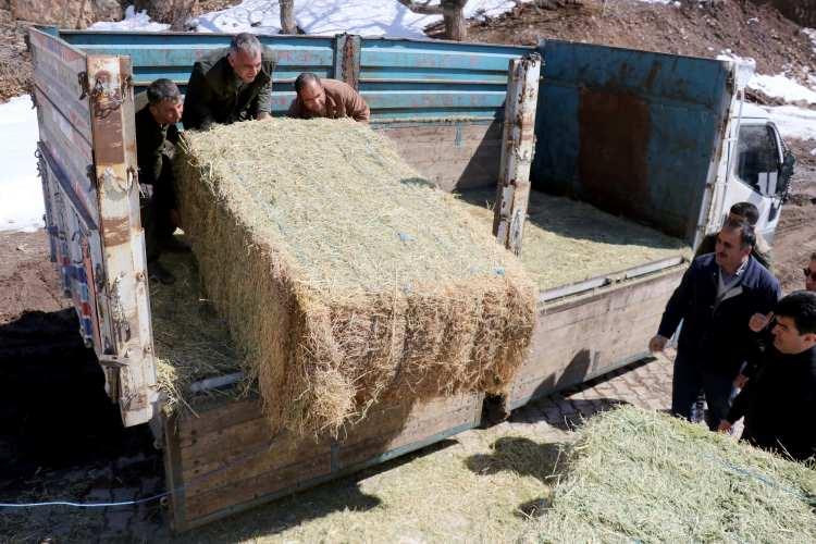 <p>İran'ın Hoy kentinde 23 Şubat'ta meydana gelen ve Van'ın Başkale ilçesinde de etkili olan deprem nedeniyle kente gelen Bakan Pakdemirli, Şipal ve babasıyla görüştü.</p>

<p> </p>
